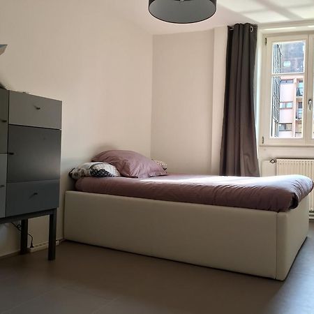 Appartement Des Moulins สตราสบูร์ก ภายนอก รูปภาพ